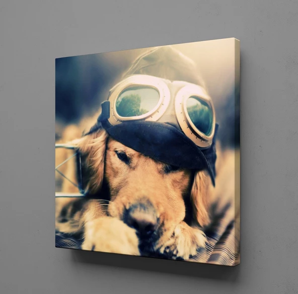 YAVRU KÖPEK KANVAS TABLO ürün görseli 1