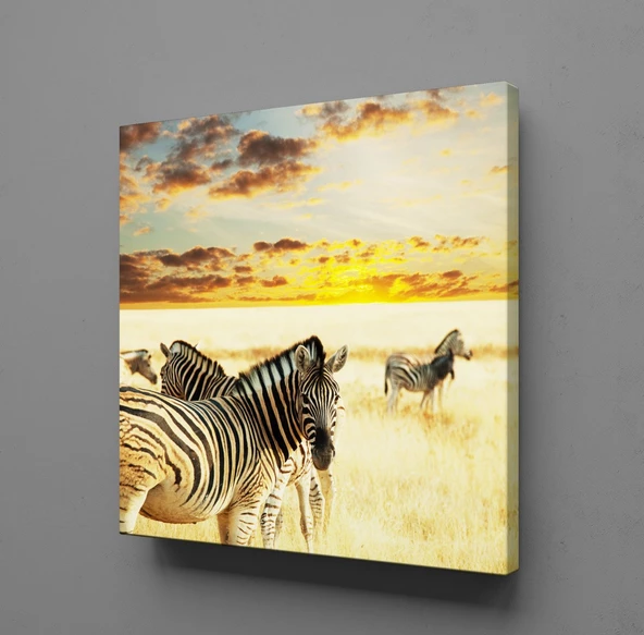 ZEBRA KANVAS TABLO ürün görseli 1