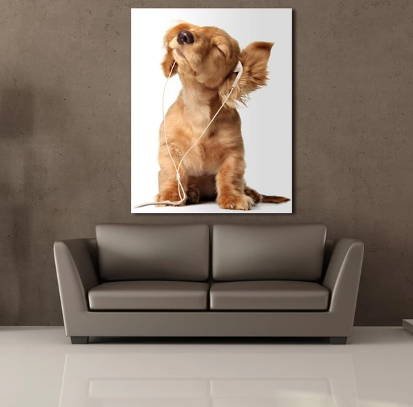 MÜZİK DİNLEYEN KÖPEK KANVAS TABLO - Resim 2