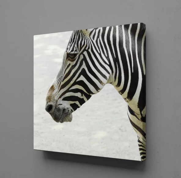 ZEBRA KAFASI KANVAS TABLO ürün görseli 1