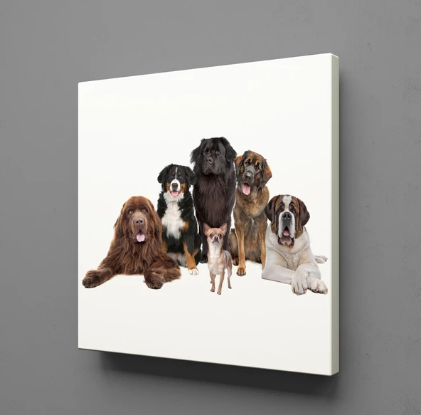 KÖPEK TOPLULUĞU KANVAS TABLO ürün görseli 1