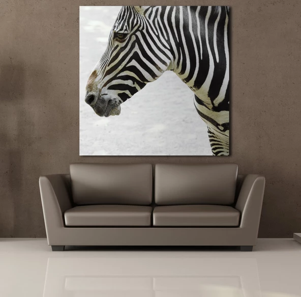 ZEBRA KAFASI KANVAS TABLO - Resim 2