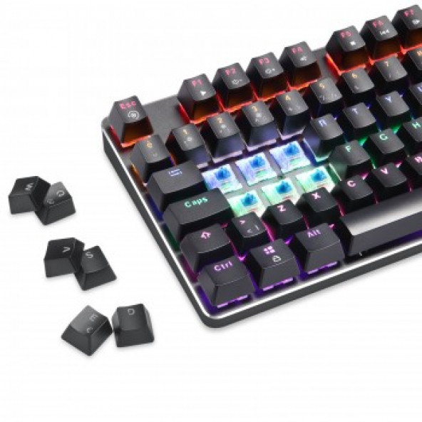 Gamepower Ogre Rainbow Mavi Switch Mekanik Gaming Klavye - Resim 3