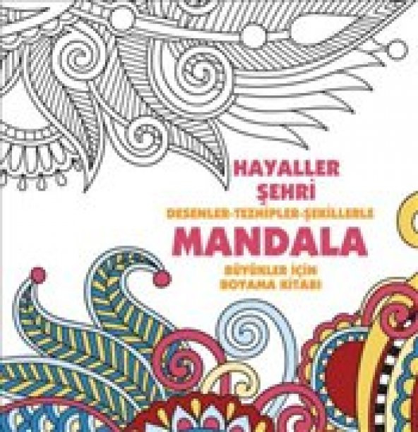 HAYALLER İEHR, DESENLER-TEZHİPLER-ŞEKİLLER(BÜYÜKLER İÇİN BOYAMA) ürün görseli 1