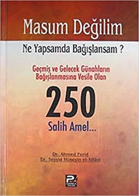 NE YAPSAM DA BAGIŞLANSAM ?.. 250 SALİH AMEL... ürün görseli 1