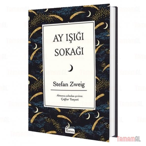 AY IŞIĞI SOKAĞI Stefan Zweig (BEZ CİLTLİ) ürün görseli 1