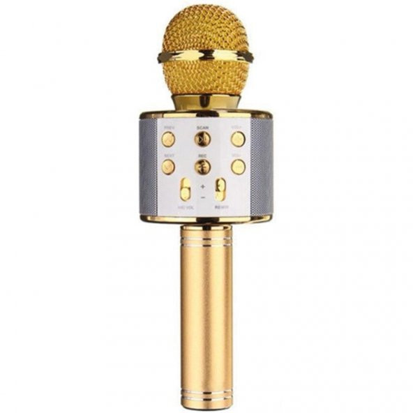 Wster Ws-858 Gold Bluetoot Karaoke Mikrofon ürün görseli 1