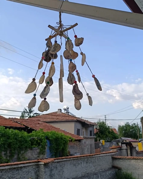 GÜL-CE Dekoratif Lodos Dalı Deniz Kabuklu Rüzgar Çanı ürün görseli 1