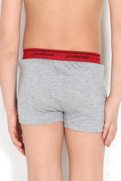 Miorre Erkek Çocuk Boxer - Resim 3