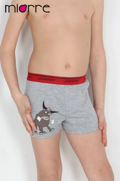 Miorre Erkek Çocuk Boxer - Resim 6