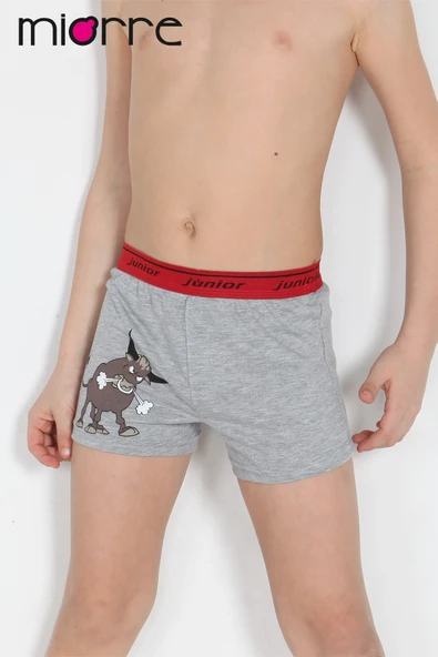 Miorre Erkek Çocuk Boxer - Resim 5