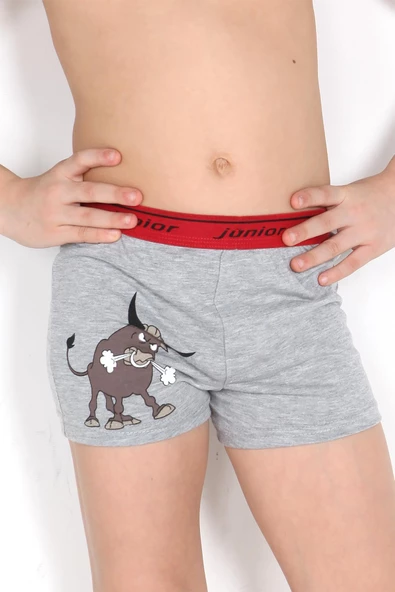 Miorre Erkek Çocuk Boxer - Resim 2