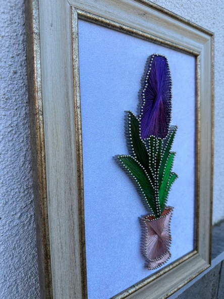 MOR SÜMBÜL FİLOGRAFİ TABLOSU - Resim 5