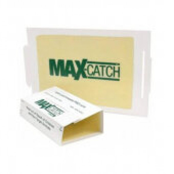 Maxcatch Catchmaster 72 Max Fıstık Aromalı Fıstık Kokulu Fare Yapışkanı Fare Yakalama Tuzağı 5 Adet ürün görseli 1