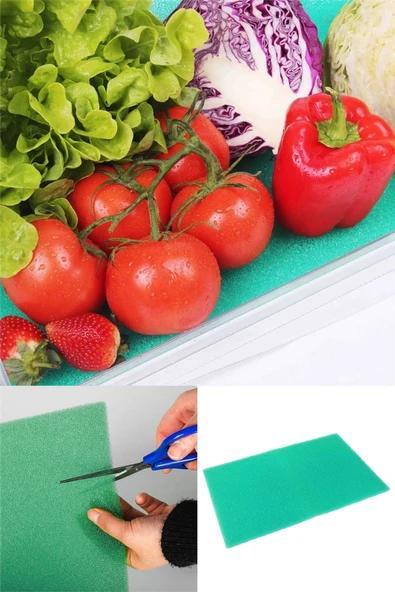 Kesilebilir Buzdolabı Raf Matı Meyve Sebze Nem Küf Önleyici Gıda Koruma Pedi 47x30 cm ürün görseli 1