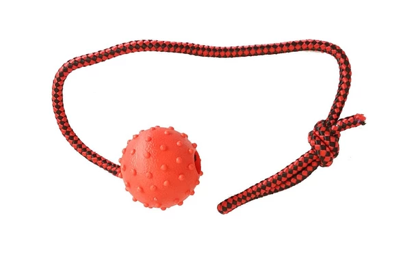 Köpek Diş İpi Toplu 45cm ürün görseli 1