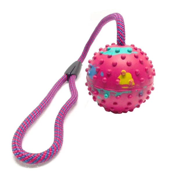 Köpek Diş İpi Toplu 48 cm - Resim 3