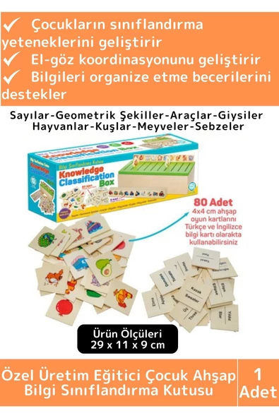 Premium Eğitici Zeka Koordinasyon Geliştirici Kişisel Gelişim Çocuk Ahşap Bilgi Sınıflandırma Kutusu ürün görseli 1