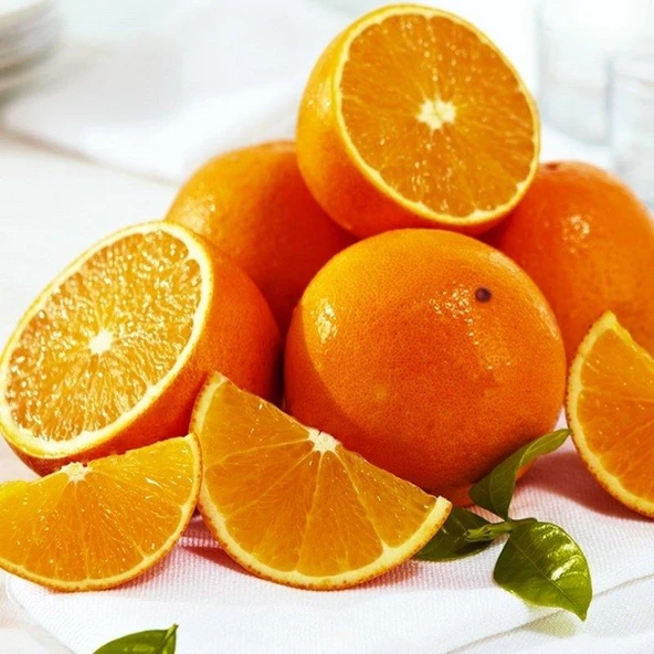 3 Yaş Aşılı Valencia Portakal Fidanı, Torbada ürün görseli 1