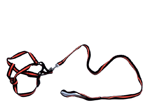 Esnek Yumuşak Doku Köpek Göğüs Tasma Takım 2x34-52 Cm ürün görseli 1