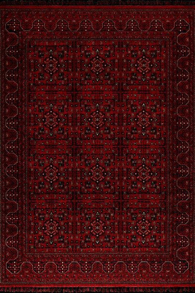 TÜRKMEN TÜRKMEN08 ürün görseli 1