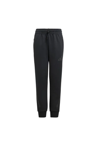adidas J Z.N.E. PT Unisex Çocuk   Eşofman Altı JF2491 ürün görseli 1