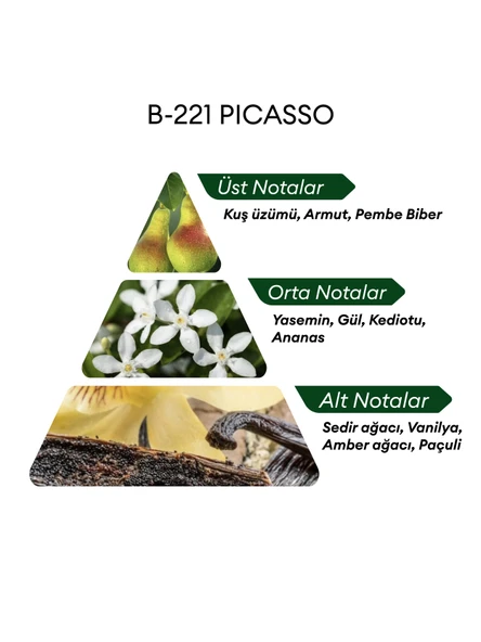 David Walker B221 Picasso 50 ml Kadın Parfüm | Aromatic - Resim 4
