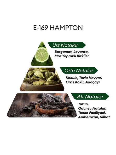 David Walker E169 Hampton 50 ml Erkek Parfüm | Aromatic - Resim 4