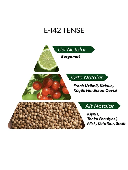 David Walker E142 Tense 50 ml Erkek Parfüm | Citrus - Resim 4