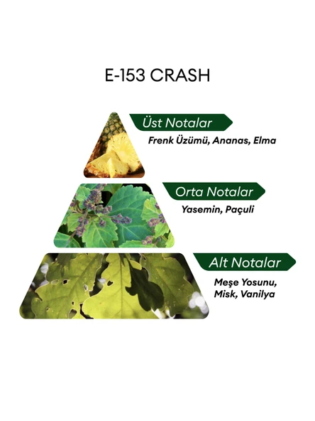 David Walker E153 Crash 50 ml Erkek Parfüm | Aromatic - Resim 4
