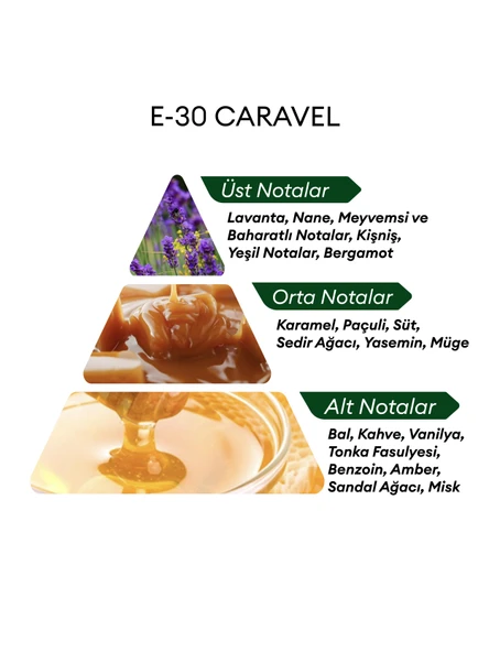David Walker E30 Caravel 50 ml Erkek Parfüm | Aromatic - Resim 4