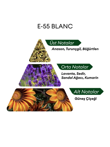 David Walker E55 Blanc 50 ml Erkek Parfüm | Aromatic - Resim 4