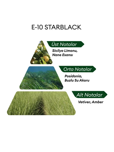 David Walker E10 Starblack 50 ml Erkek Parfüm | Nature - Resim 4