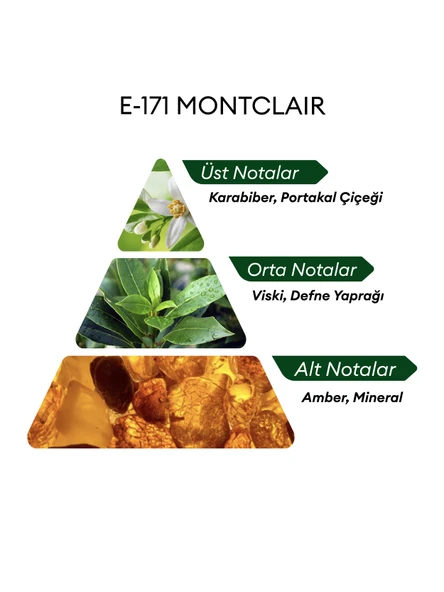 David Walker E171 Montclair 50 ml Erkek Parfüm | Aromatic - Resim 4