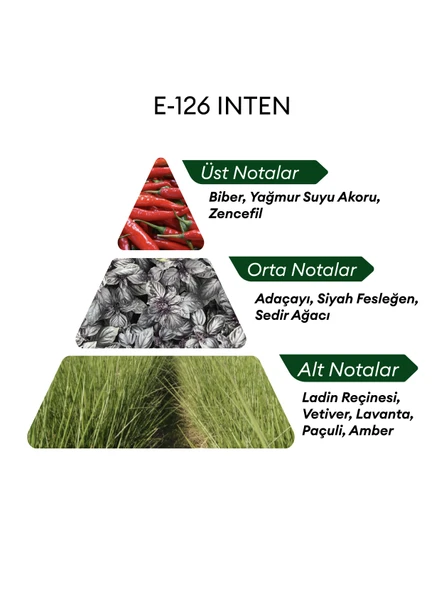 David Walker E126 Inten 50 ml Erkek Parfüm | Aromatic - Resim 4