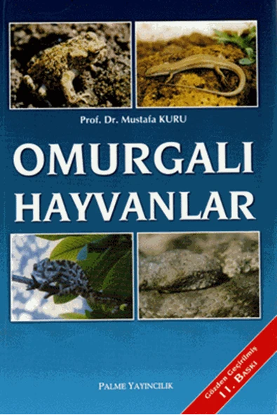 OMURGALI HAYVANLAR -PALME ürün görseli 1