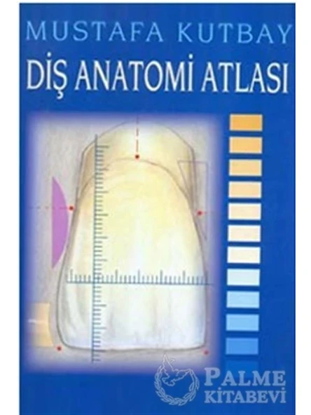 DİŞ ANATOMİSİ ATLASI -YAZARIN KENDİSİ ürün görseli 1