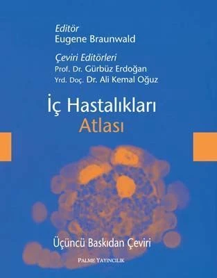 İÇ HASTALIKLARI ATLASI - PALME ürün görseli 1