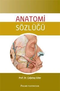ANATOMİ SÖZLÜĞÜ - PALME - Resim 2
