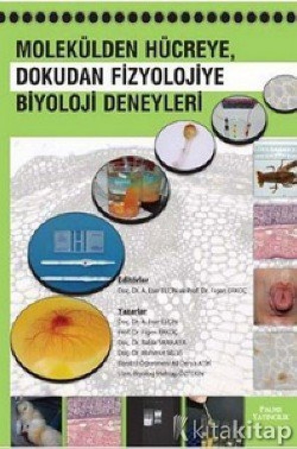 MOLEKÜLDEN HÜCREYE DOKUDAN FİZYOLOJİYE - PALME ürün görseli 1