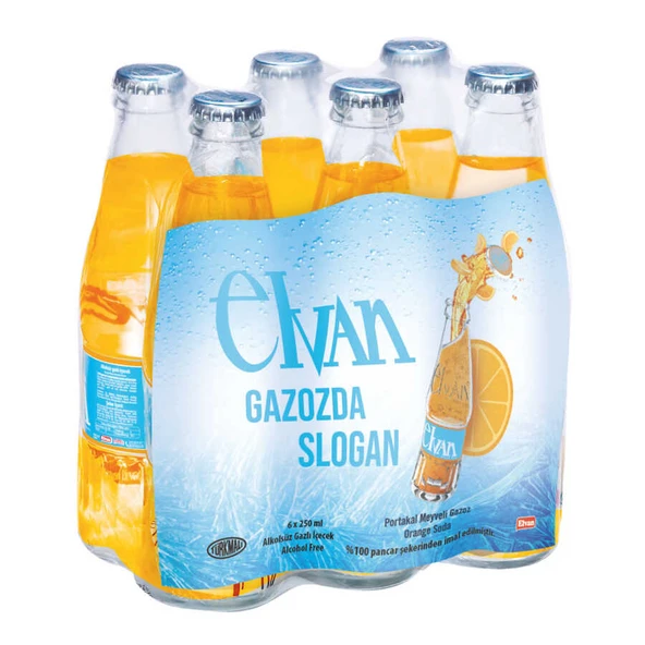Elvan Gazoz Portakallı 250 ml 6 lı Paket Cam Şişe ürün görseli 1