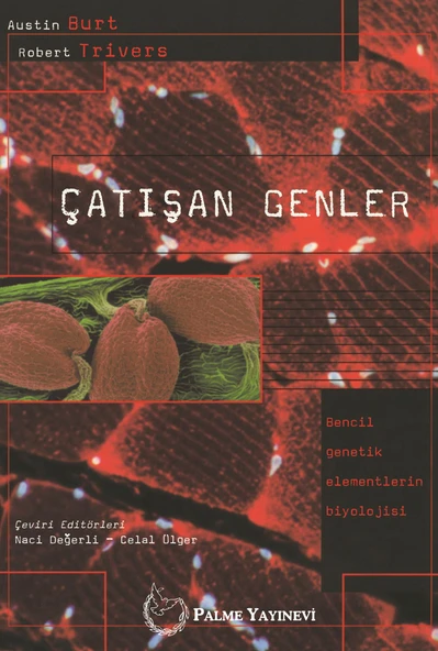 ÇATIŞAN GENLER - Resim 2
