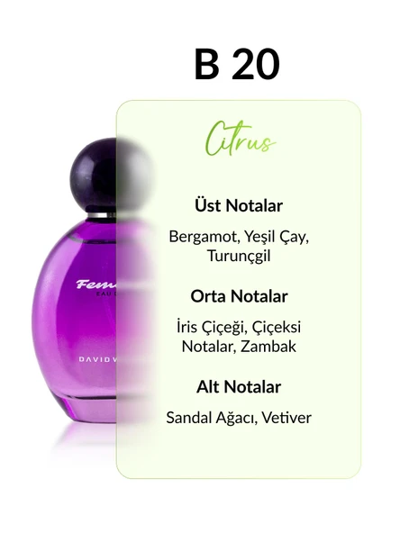 David Walker B20 Agetti 100 ml Kadın Parfüm | Citrus - Resim 2