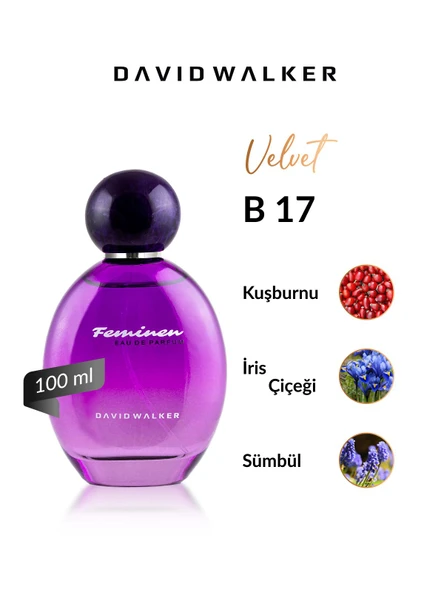 David Walker B17 Hollywood 100 ml Kadın Parfüm | Velvet ürün görseli 1