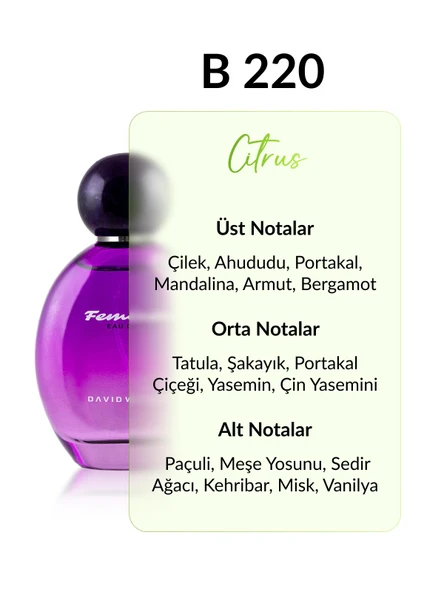David Walker B220 Moonlight 100 ml Kadın Parfüm | Citrus - Resim 2