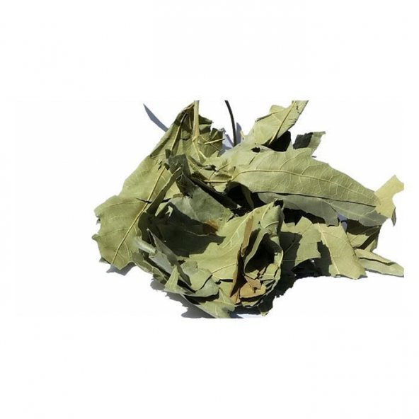 BenimAktar Çınar Yaprağı 500 Gr - Resim 2