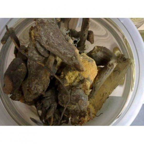 BenimAktar Böğürtlen Kökü 500 Gr - Resim 2