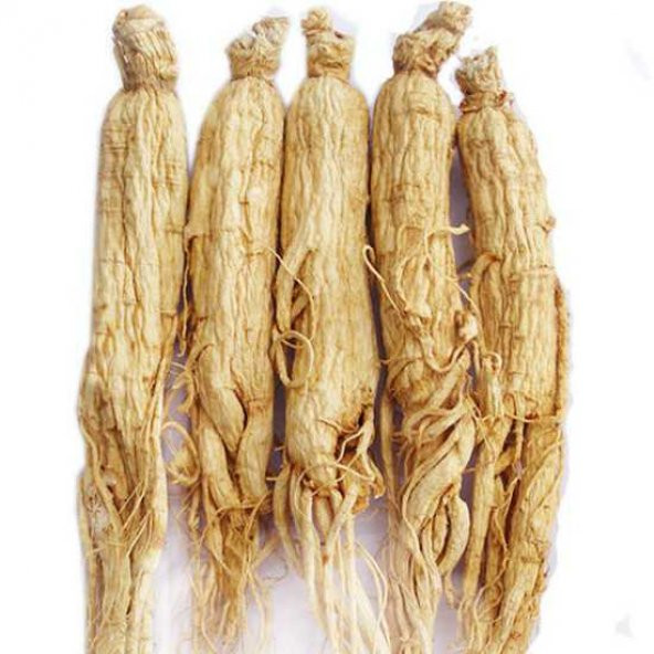BenimAktar Ginseng ( Adam otu ) 250 Gr - Resim 2