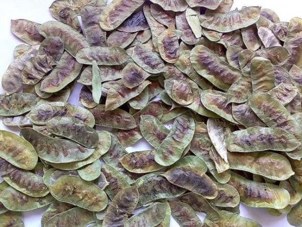 BenimAktar Açlık Otu 1 Kg - Resim 2
