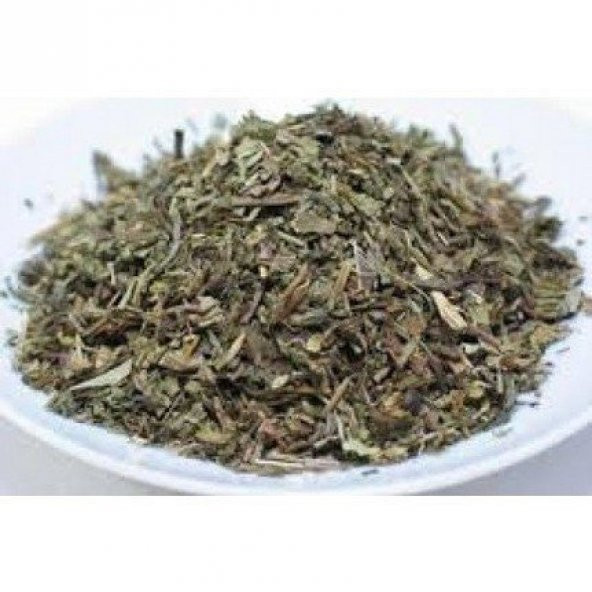 BenimAktar Ak Hindiba 1 Kg - Resim 2